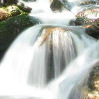 Priessnitzův elixír zdraví