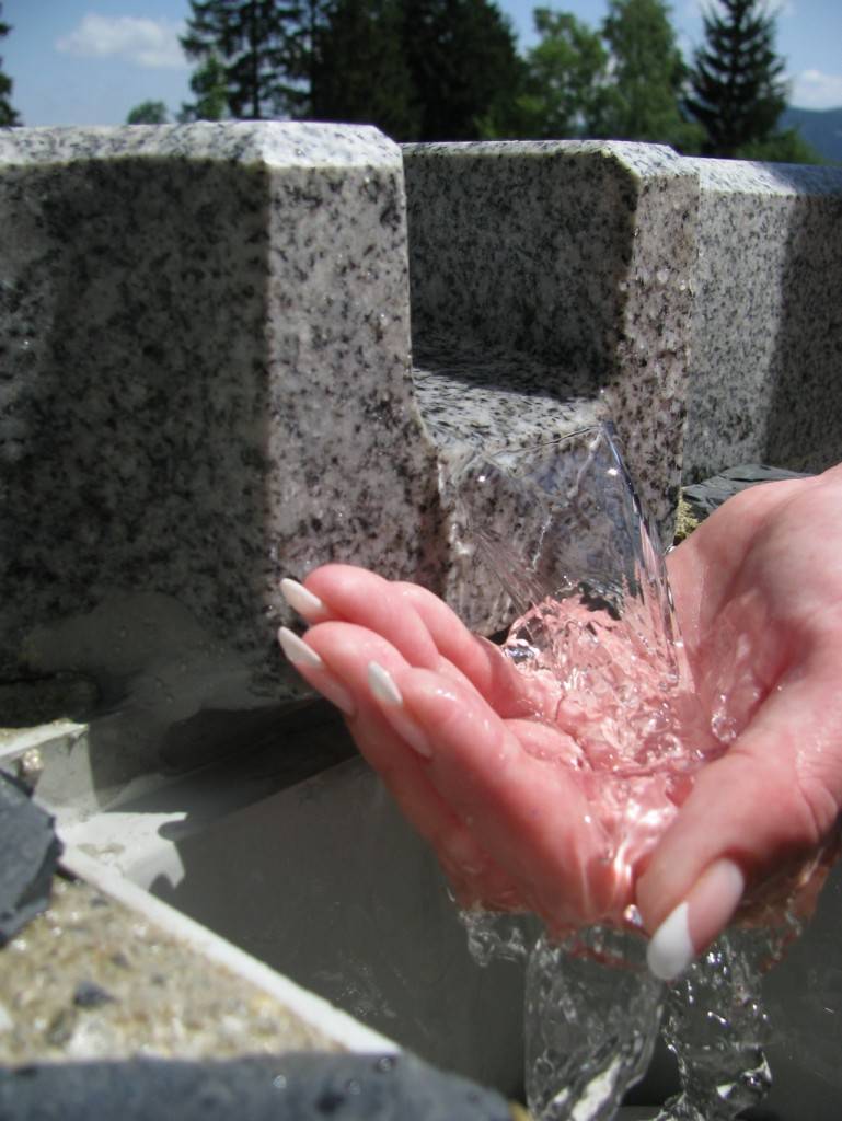 Stays utilising Priessnitz´s curative methods 2012