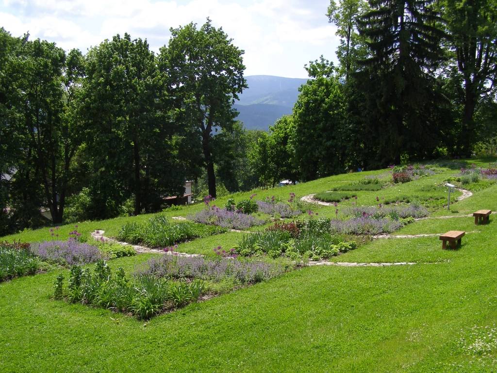 Přednáška: Máte rádi bylinky?