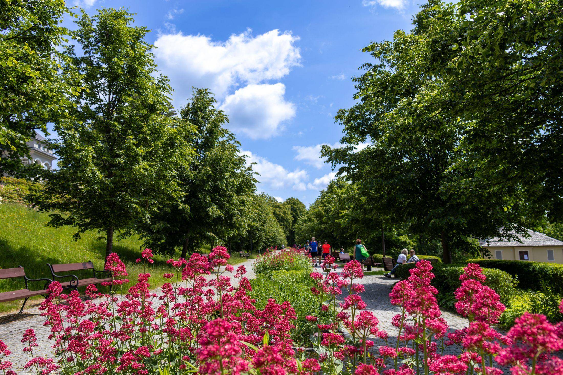 Péče o mysl NOVINKA