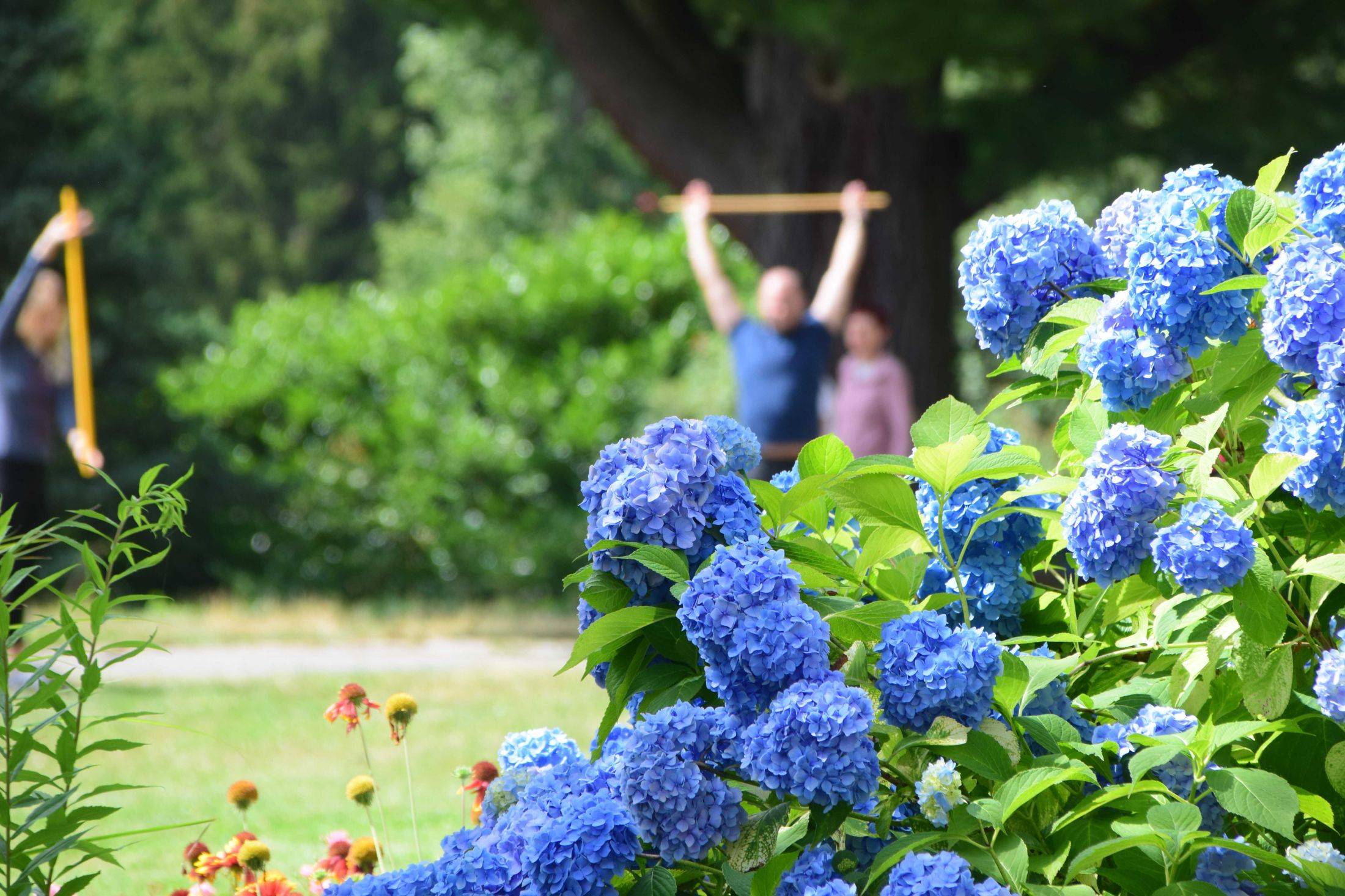 Duševní rehabilitace NOVINKA