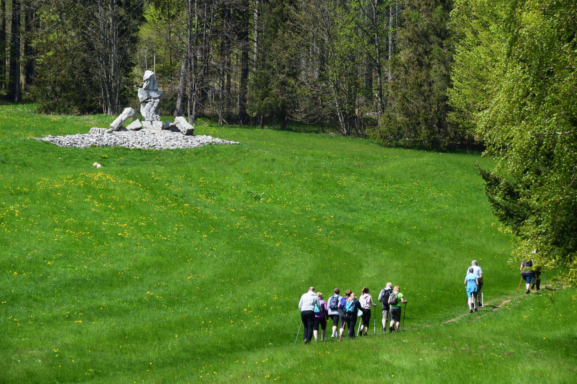 Priessnitzovy lázně - Jižní svah Nordic walking.jpg