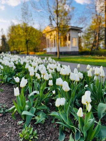 Jaro a Velikonoce v lázních