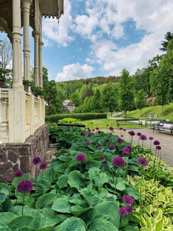 Aktuální informace z našich lázní - červen