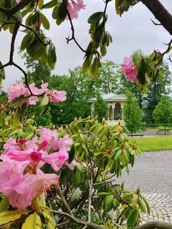 Státem podporované poukazy na dovolenou