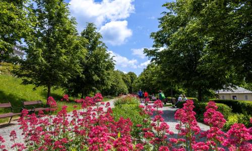 Dbanie o myśl NOWOŚĆ 2026