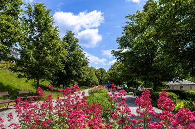 Péče o mysl NOVINKA