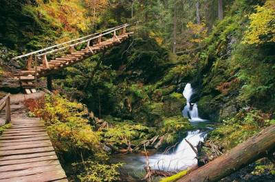 Karlova Studánka - NS Bílá Opava - Praděd – Červenohorské sedlo