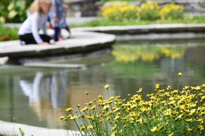 Předhradí - Informační prostor