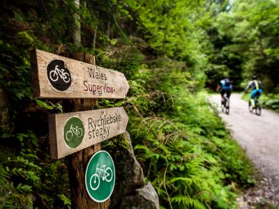 Za nejlepšími bikovými traily